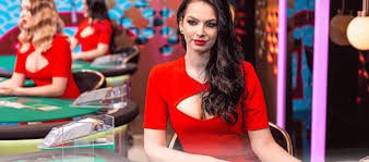 8pgn ဘင်ဂို Online Bingo Room Myanmar ကစားသမားများ ကစားနေသောမြင်ကွင်း